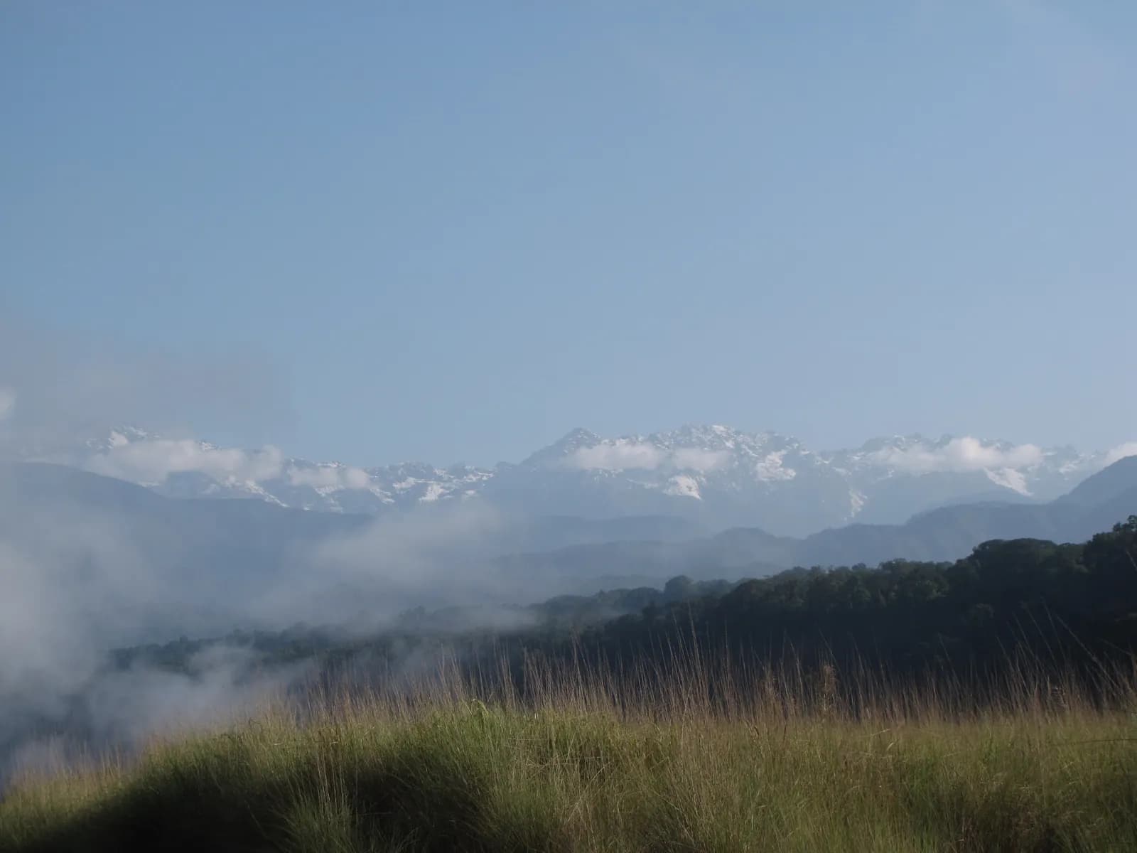 Namdapha, Changlang district, Arunachal Pradesh.