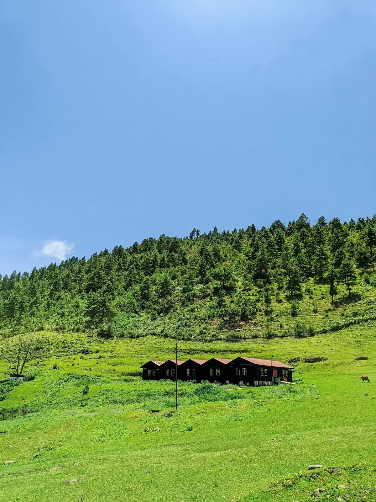 Bomdila, West Kameng district, Arunachal Pradesh.